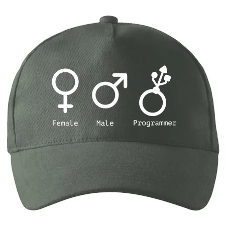 Female male programmer
