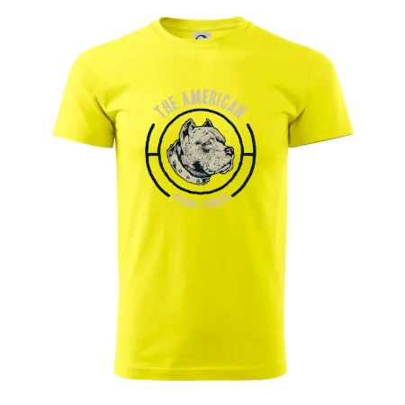Americký pitbull terier hlava