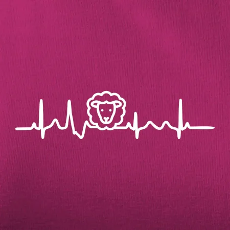 Ekg ovce