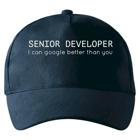 Senior developer google better than you