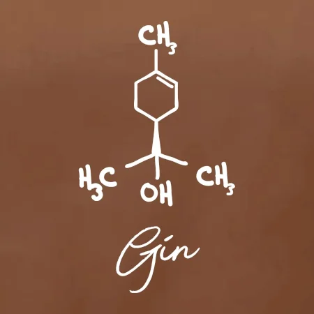 Barová chémia - gin