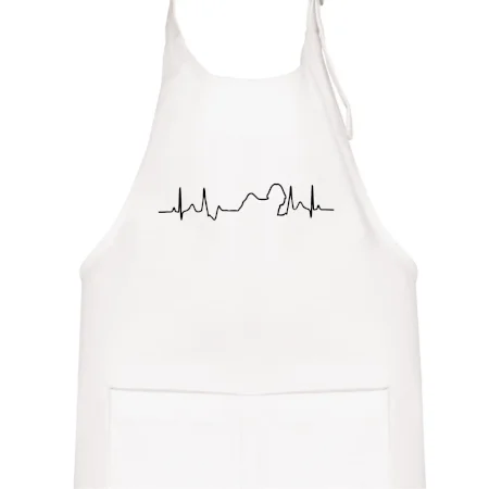 Shih-tzu ekg obrys