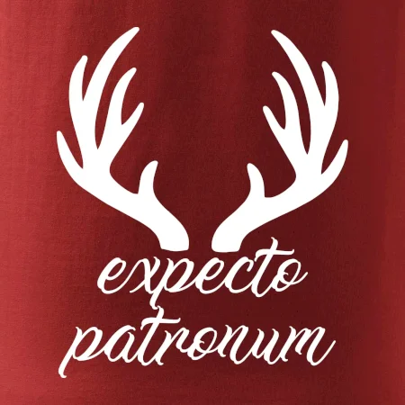 Harry - Expecto patronum