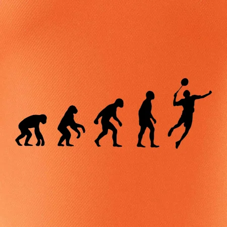Evolúcia Bedminton