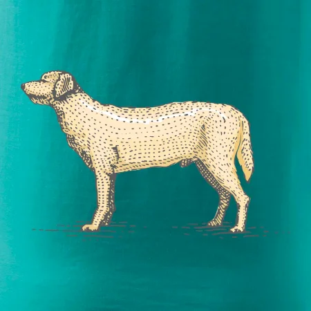 Vintage Labrador