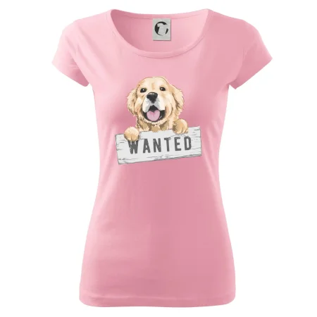 Zlatý retriever - šteniatko wanted