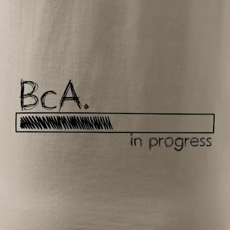 In progress titul BcA. bakalár / bakalárka umenia