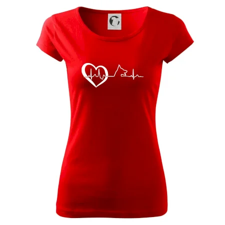 Nemecký ovčiak ekg