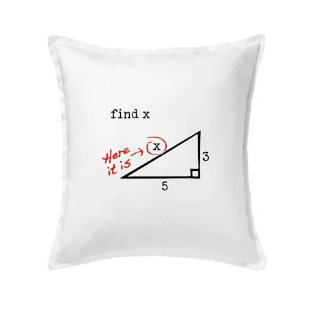 Find X - geometria