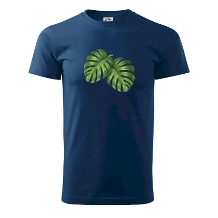 Monstera - dva listy