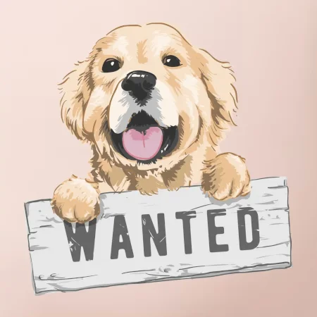 Zlatý retriever - šteniatko wanted