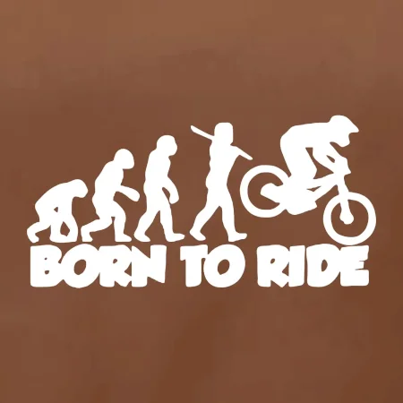 Evolution Born to ride