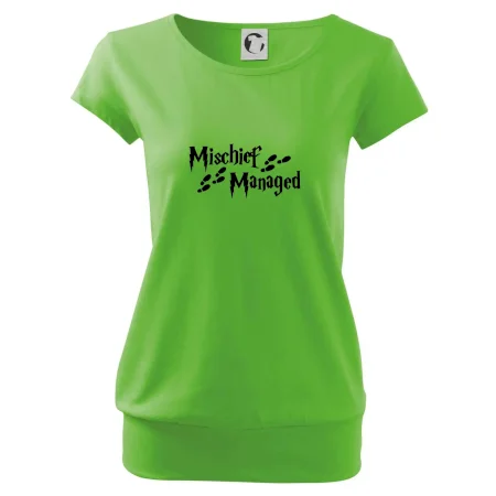Harry - Mischief Managed