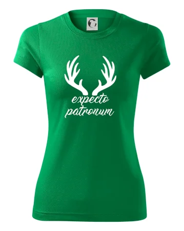 Harry - Expecto patronum