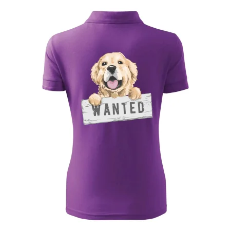 Zlatý retriever - šteniatko wanted