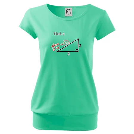 Find X - geometria
