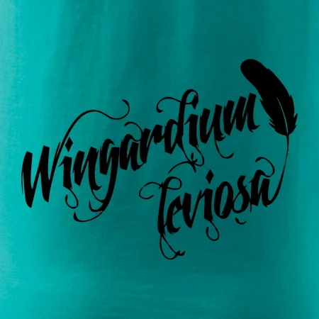 Harry - Wingardium Leviosa