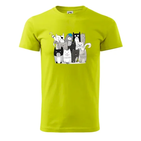 Mačky, čo nie sú tak úplne veselé