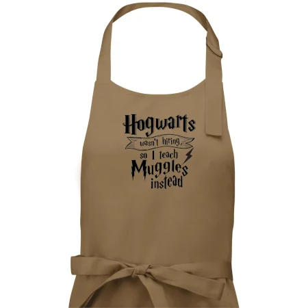 Harry - Hogwarts wasn’t hiring, so I teach Muggles instead