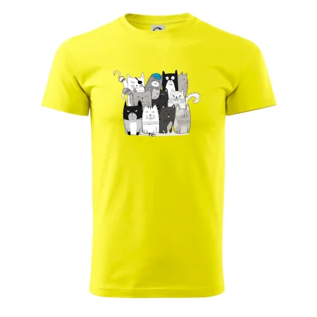 Mačky, čo nie sú tak úplne veselé