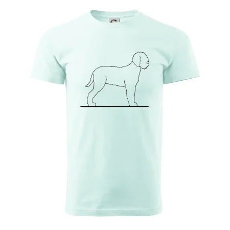 Lagotto romagnolo stojaci