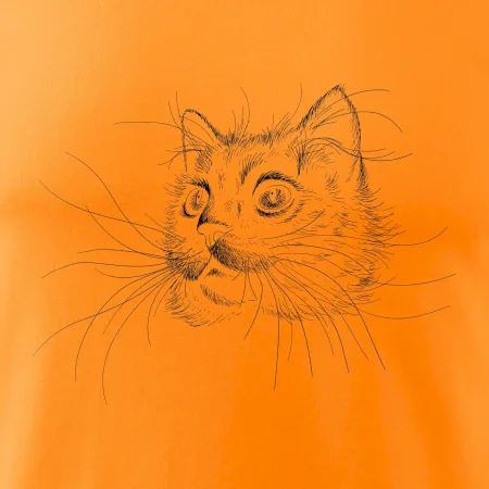 Mačka ilustrácie