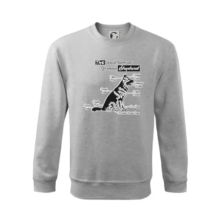 Nemecký ovčiak - Anatómia