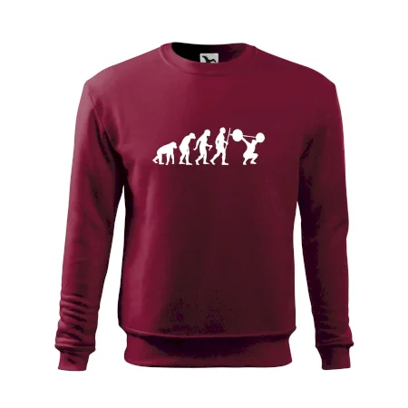 Evolution fitness