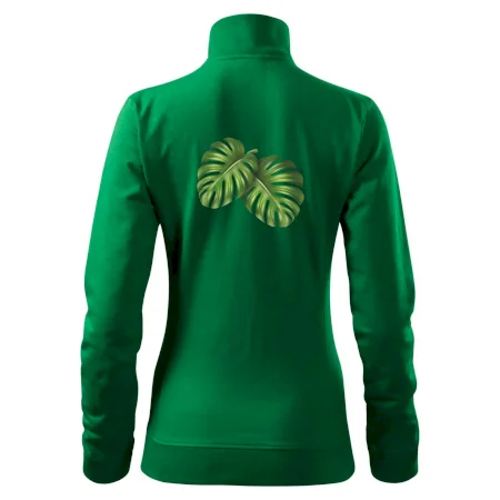 Monstera - dva listy