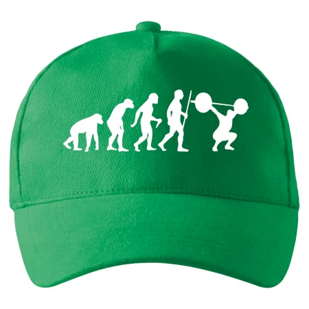 Evolution fitness