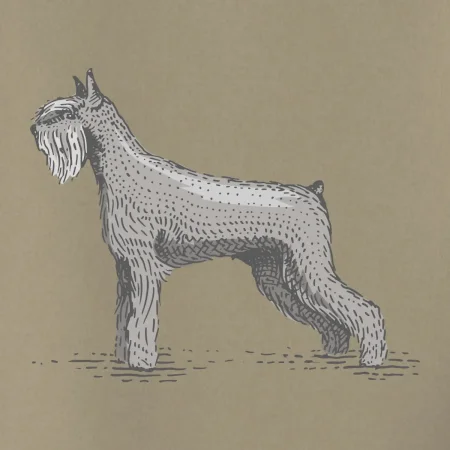 Vintage Schnauger