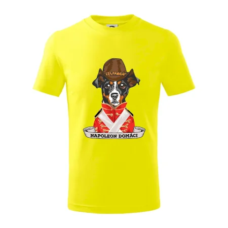 Napoleon domáci kríženec