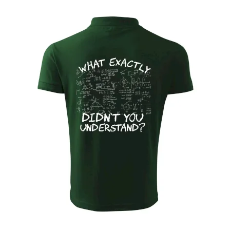 What exactly didn't you understand - physics