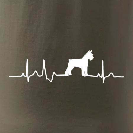 Ekg bradáč telo