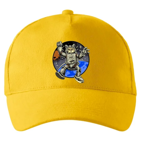 Mačacie astronaut