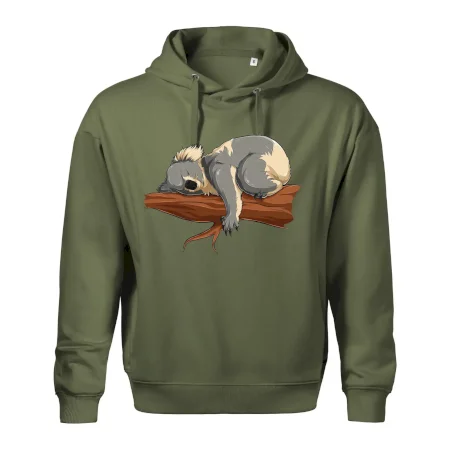 Koala na vetve