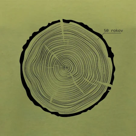 50 rokov - Letokruhy