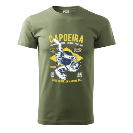 Capoeira  Afro-brazil art