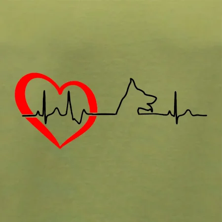 Nemecký ovčiak ekg