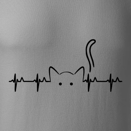 Mačka EKG