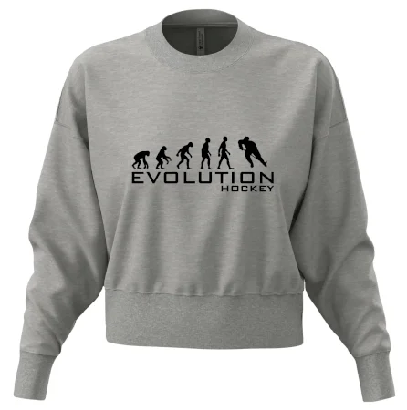 Evolúcia Hockey - hráč