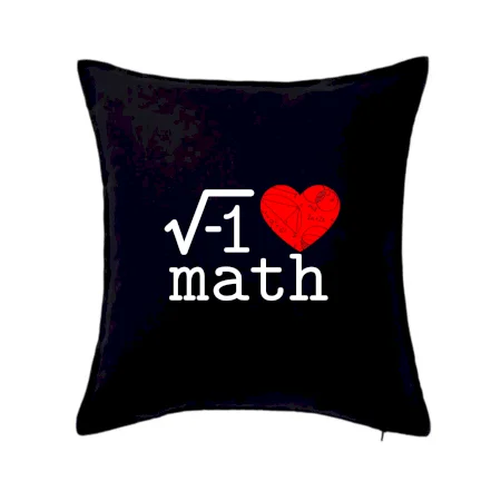 I love math