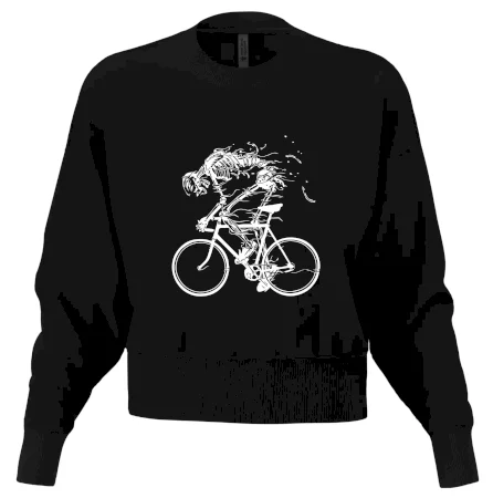 Cyklo kostra
