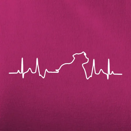 Stafordšírsky bulteriér ‎ EKG