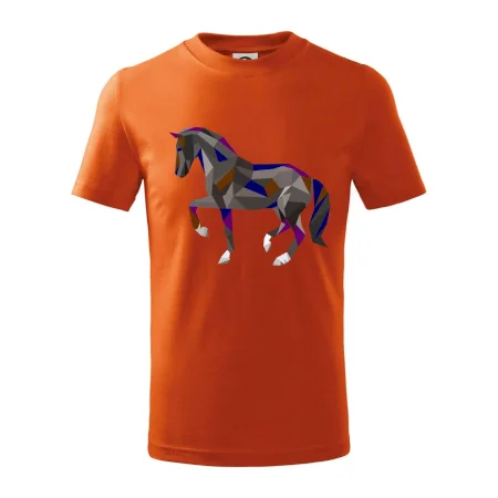 Kôň geometria farebný