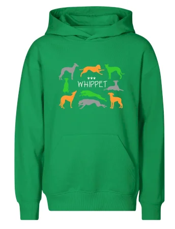 Whippet farebný