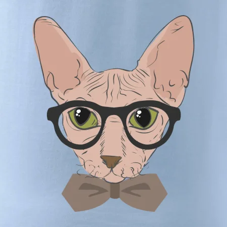 Hipster sphynx