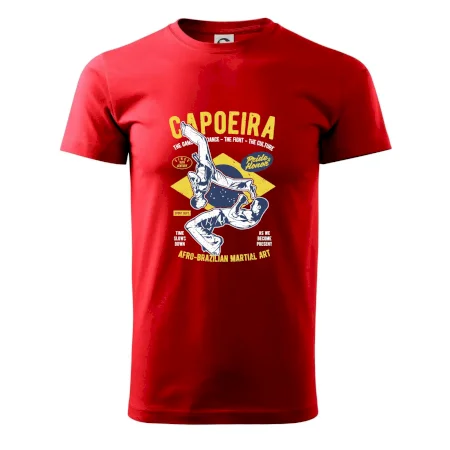 Capoeira  Afro-brazil art