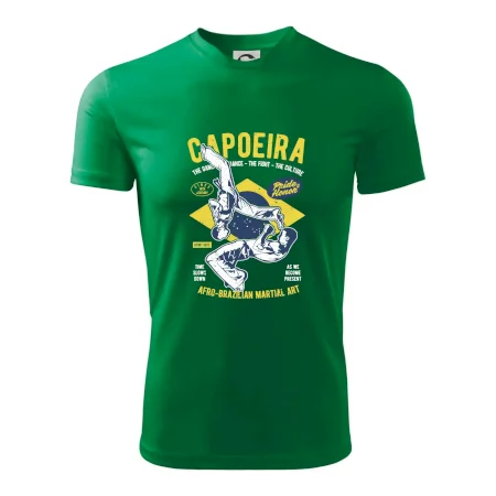 Capoeira  Afro-brazil art