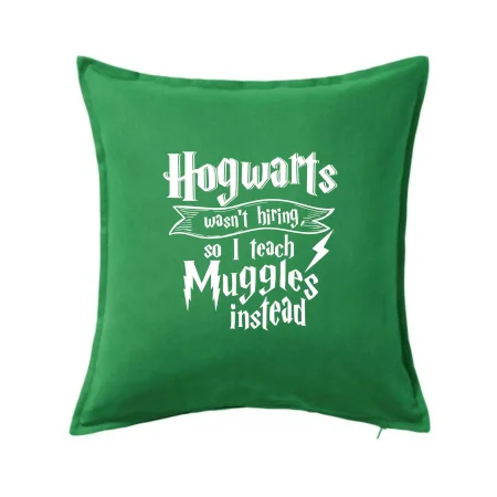 Harry - Hogwarts wasn’t hiring, so I teach Muggles instead